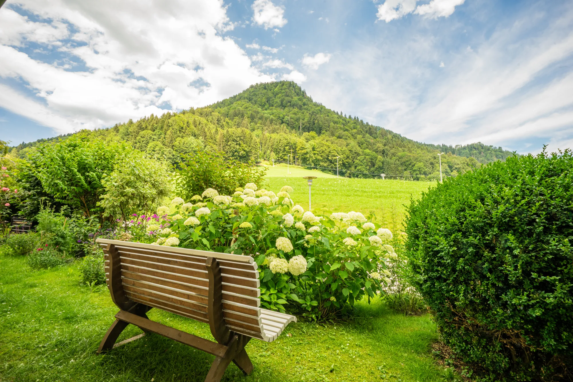 Blick auf unseren Hausberg: Westernberg