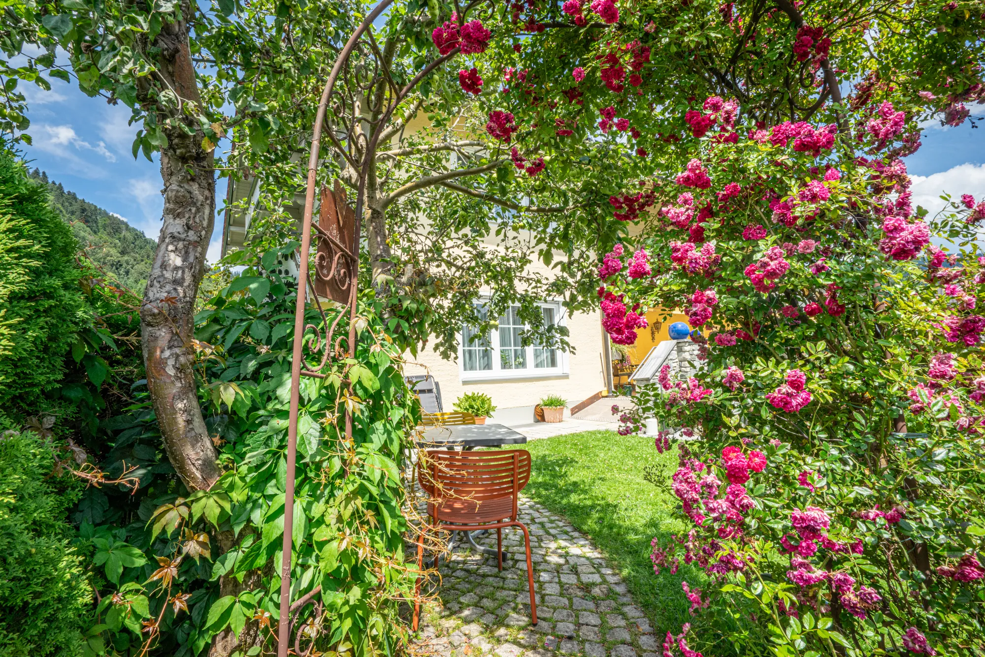 Ein Rosentor in unseren Garten