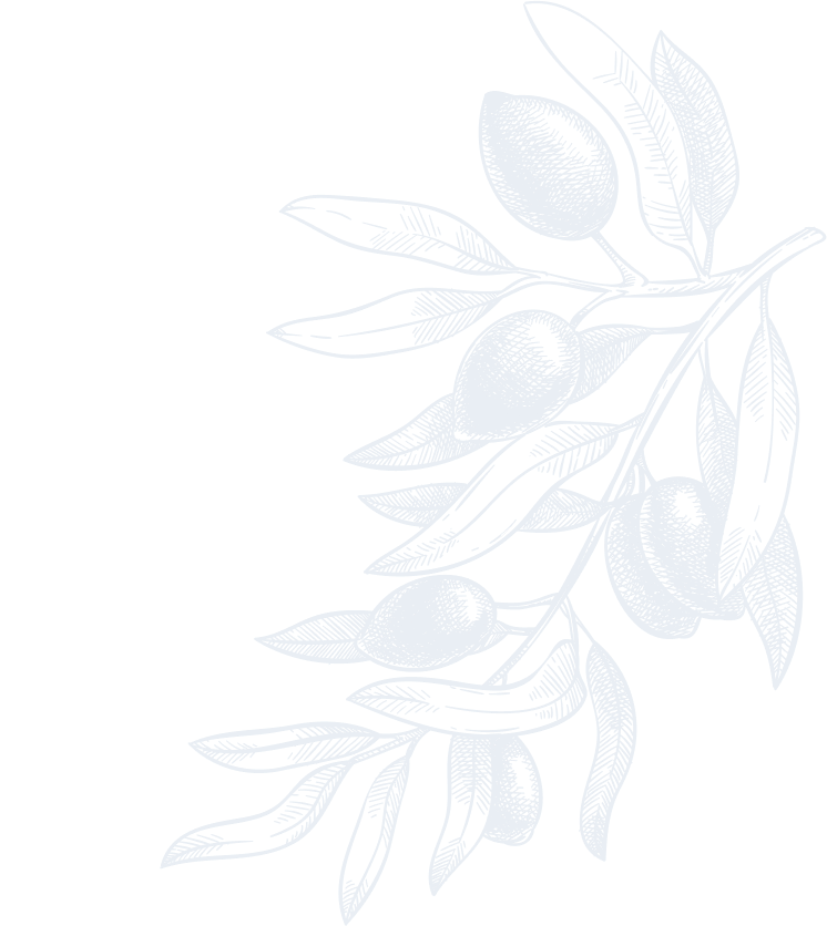 Das Haus Steffle im grünen Garten